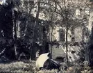 Visingsborgs slottsruin på Visingsö.