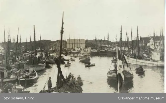 Flere fiskebåter på Kvitsøy.
