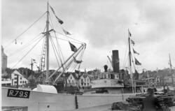 "Ternen 111" R. 79. S. Reder er Stavanger Preserving Co.