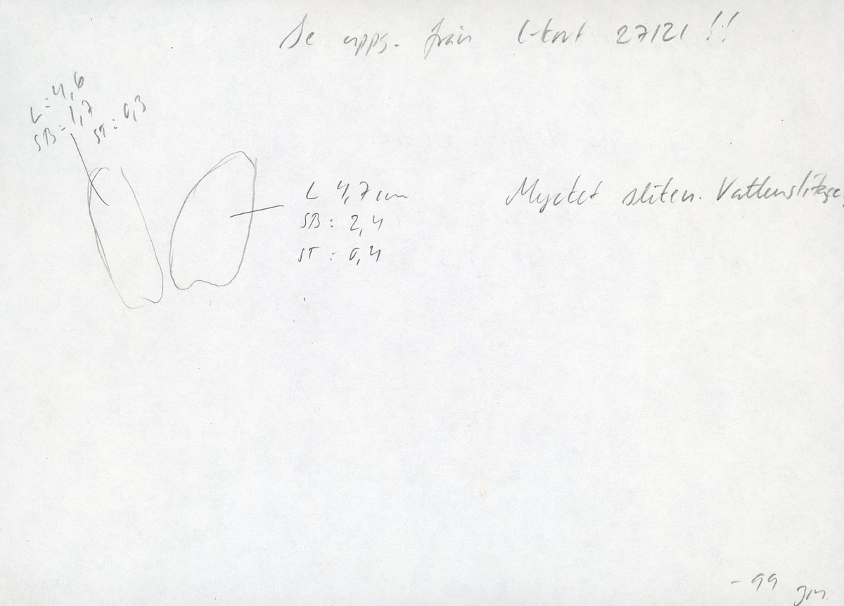 Två delar av en träsked. Delarna utgör mindre partier av skedbladet. På delarna syns en svagt rödbrun färg, vilket möjligen är spår efter bemålning.

Delarna är mycket slitna.

För mer information se Dokumentationsblankett under Referenser – Länkade filer.