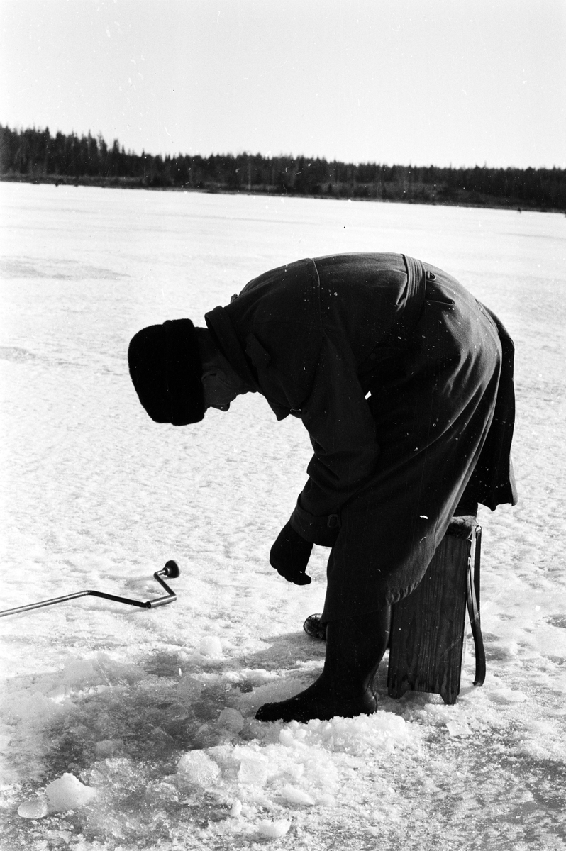 Pimpeltävling Söderfors, Uppland, mars 1972