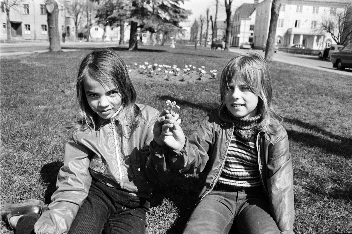 Vår i Tierp, Uppland, maj 1972