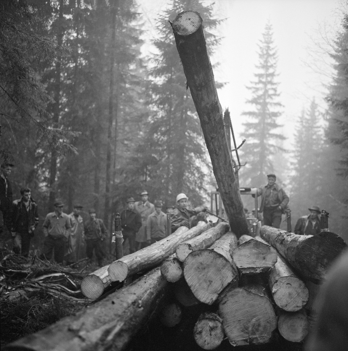 Lasting av tømmer på en beltegående, traktortrukken doning ved hjelp av en vinsj. Fotografiet ble tatt under en driftsteknisk orientert skogdag i Strandbygda i Elverum (Hedmark) høsten 1963. I bakgrunnen ser vi ei gruppe menn som med interesse observerte hvordan tunge, barkete tømmerstokker kunne løftes opp på lasset uten nevneverdig bruk av menneskelig muskelkraft.