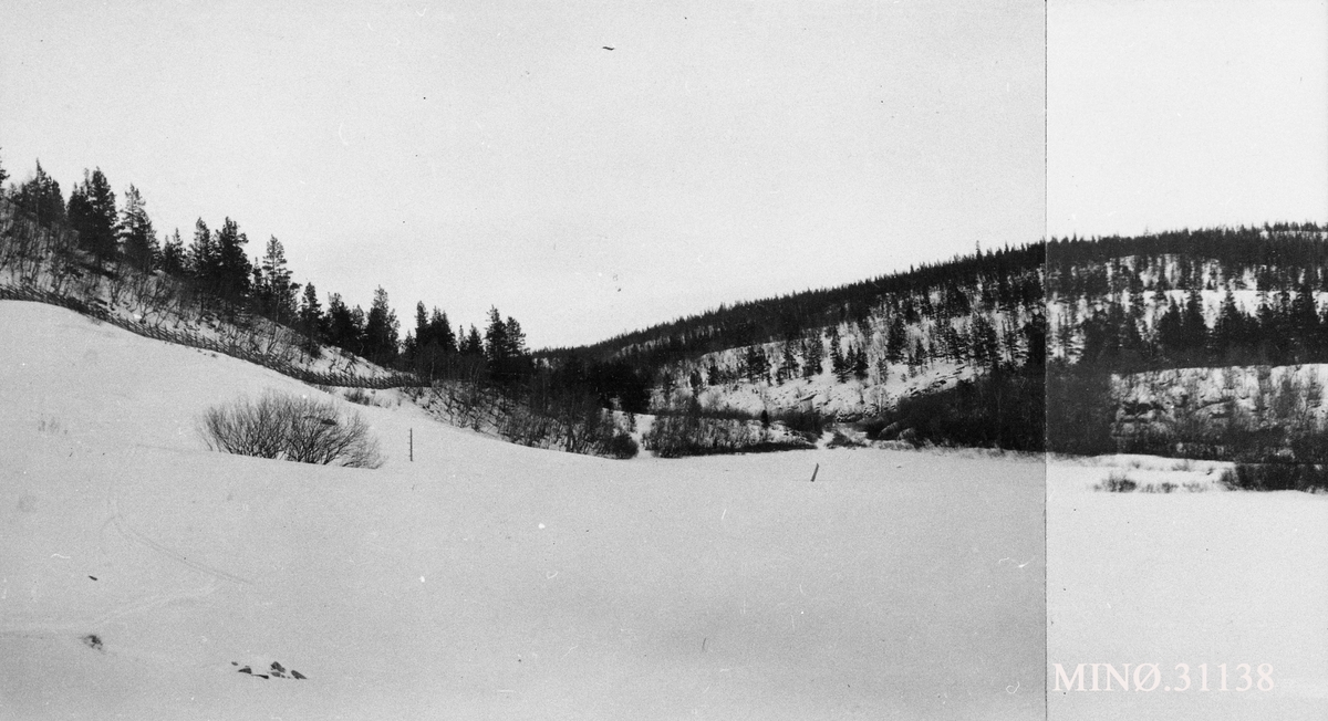 Grimsdalen