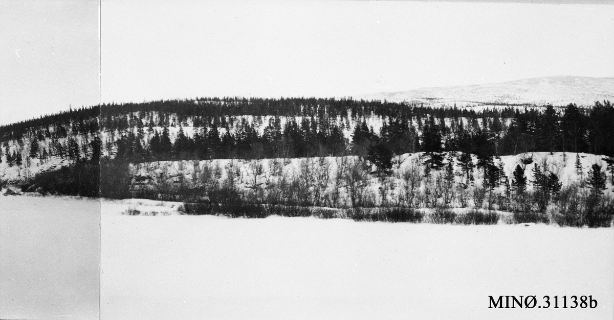 Grimsdalen