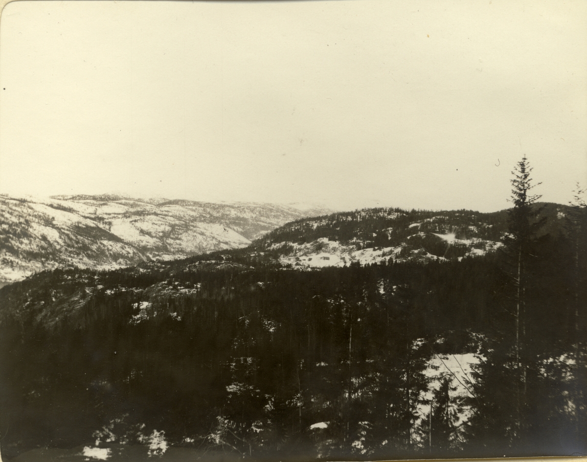 Utsikt over Hovin, Tinn, Telemark. Fotografert 1909.