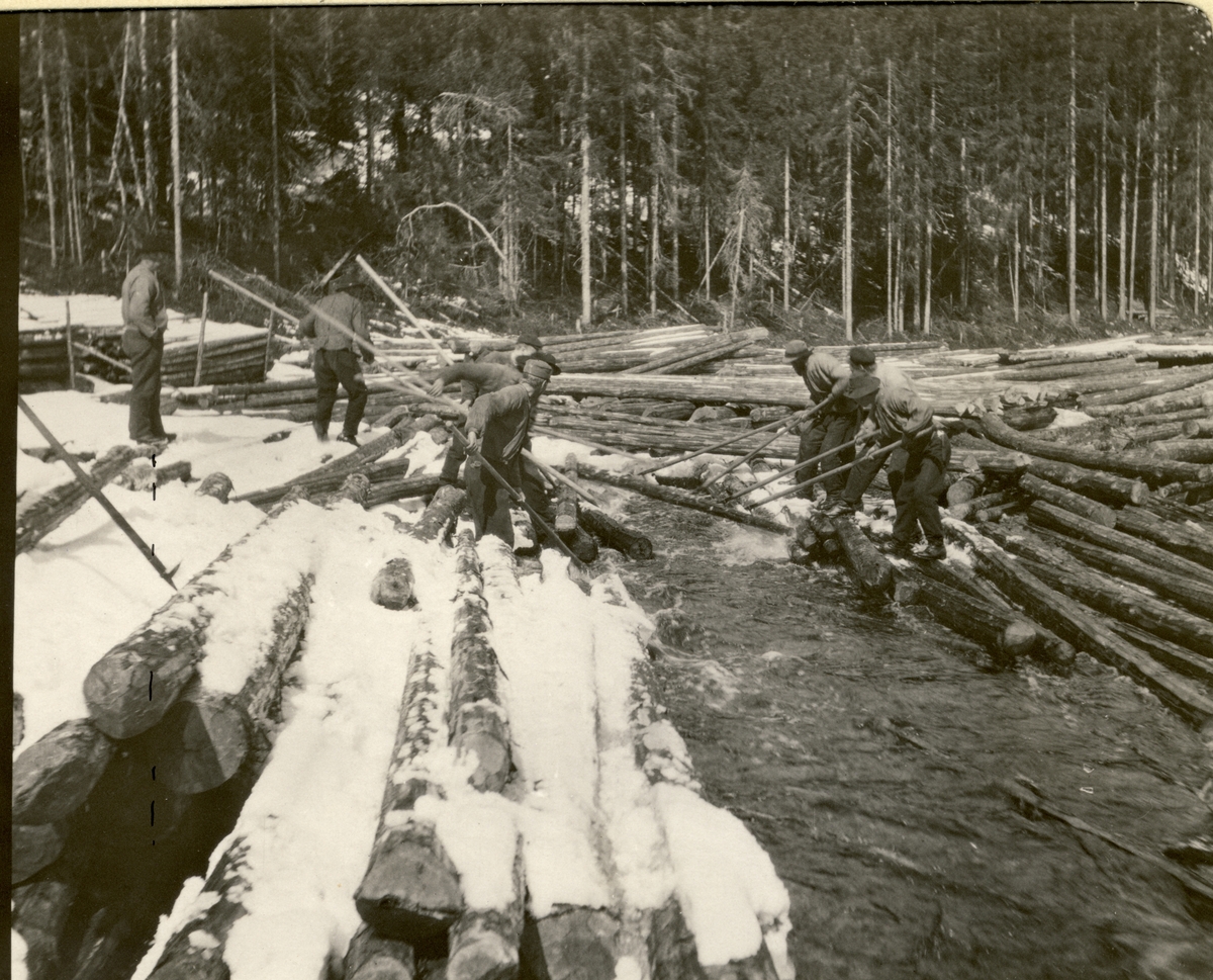 Tømmerfløting i Fallåa, Romedal, Hedmark. Tømmer  har hopet seg opp gjennom vinteren og må fjernes før fløtingen kan begynne. Til venstre står antagelig arbeidsformann Anton Bjølseth. Fotografert mai 1909.