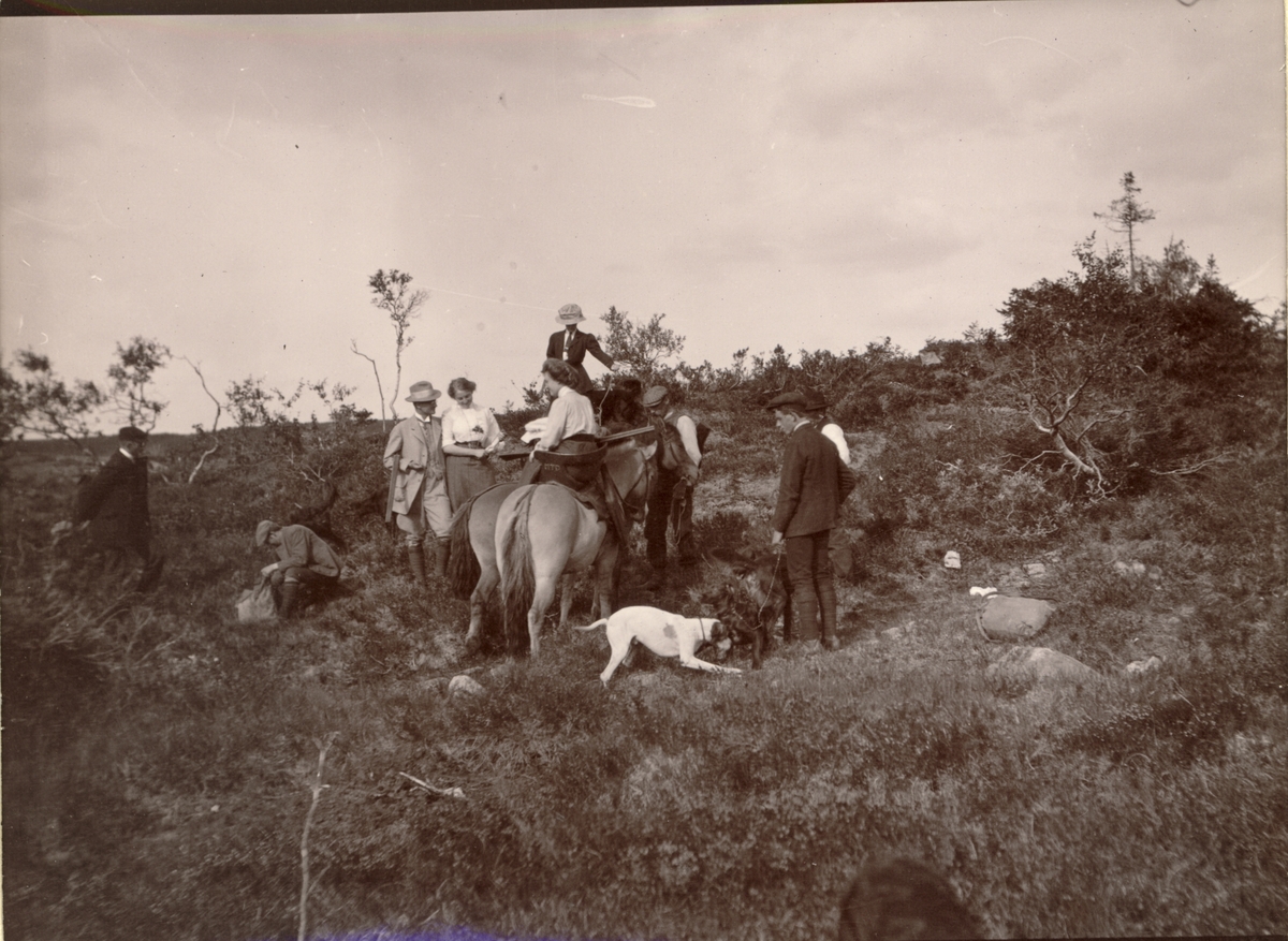 Jaktlag på tre kvinner, seks menn, en hest og en hund på vei fra Tovmodalen til Øst-fjergen i Meråker, Nord-Trøndelag. Fotografert august 1910.