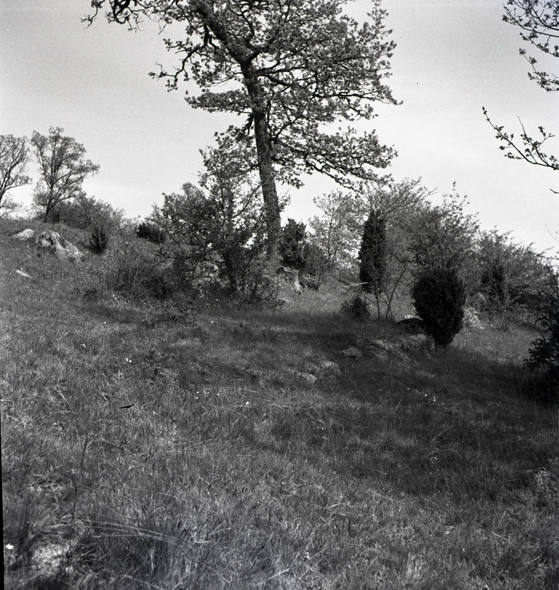 Landskapsbilder från Horsö.