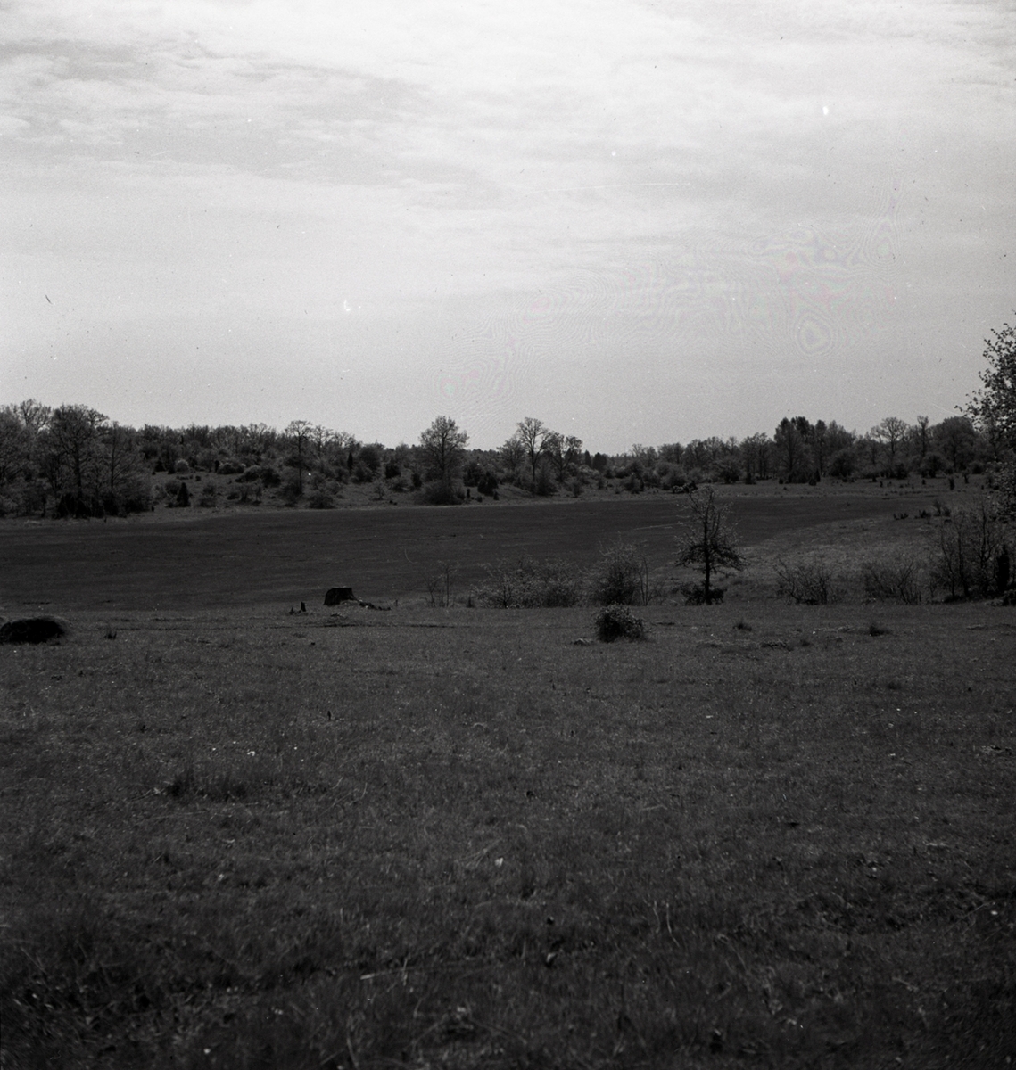 Landskapsbilder från Horsö.