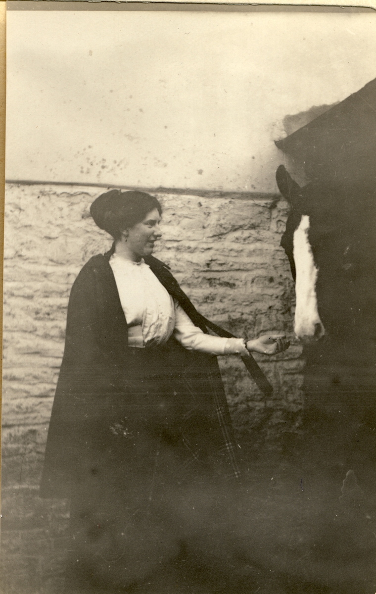 Miss E. Franklin hilser på en hest i Coldbrook Park, Wales. Fotografert 1913.