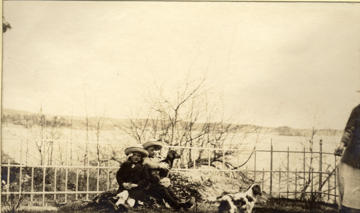 To barn og to hunder i en hage med utsikt til et vann. Antagelig fotografert på eiendommen Fritzøehus i Larvik. Fotografert mai 1917.