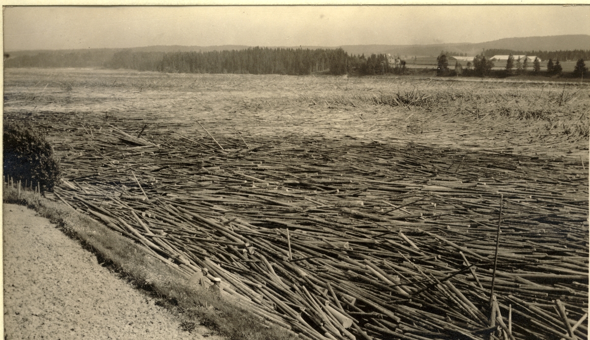 Tømmerstokkene har hopet seg opp ved Bingen lenser i Sørum, Akershus. Fotografert 1917.