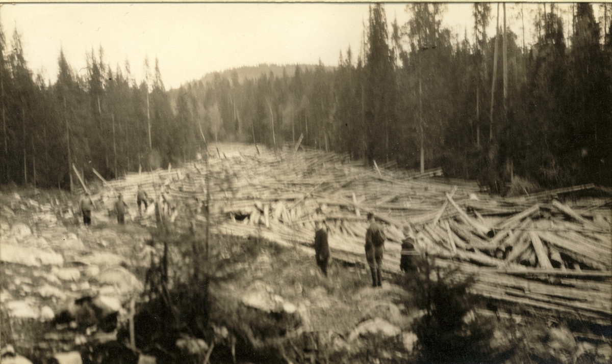 Tømmerfløting i Gaukåa, Stange, Hedmark. Til høyre skimtes tre menn, antagelig Egeberg-familien på befaring, og til venstre skimtes tre tømmerfløtere. Fotografert 1917.