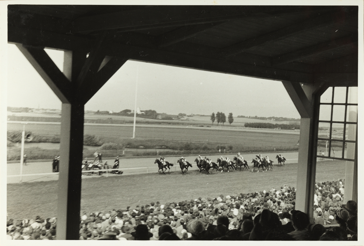 Svensk Derby i Malmø, Sverige, i juli 1953.