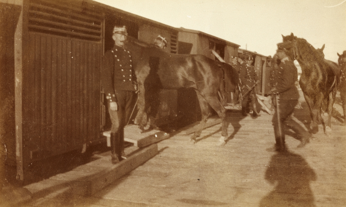 Kavaleri laster inn hester i tog på Levanger stasjon etter feltøvelse. Foran rittmester Johan Egeberg Ottesen. Fotografert 1901.