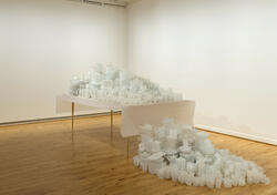 Domestic Accidents [Installasjon]