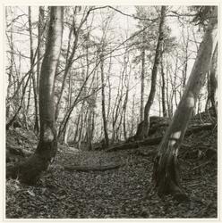 Dalaåsen 3 [Fotografi]