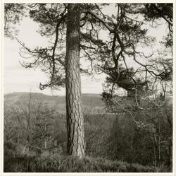 Dalaåsen 4 [Fotografi]