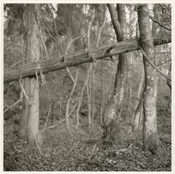 Dalaåsen 6 [Fotografi]