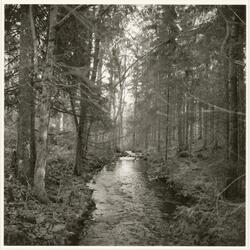 Fra serien Dalaåsen 1 - 8 [Fotografi]