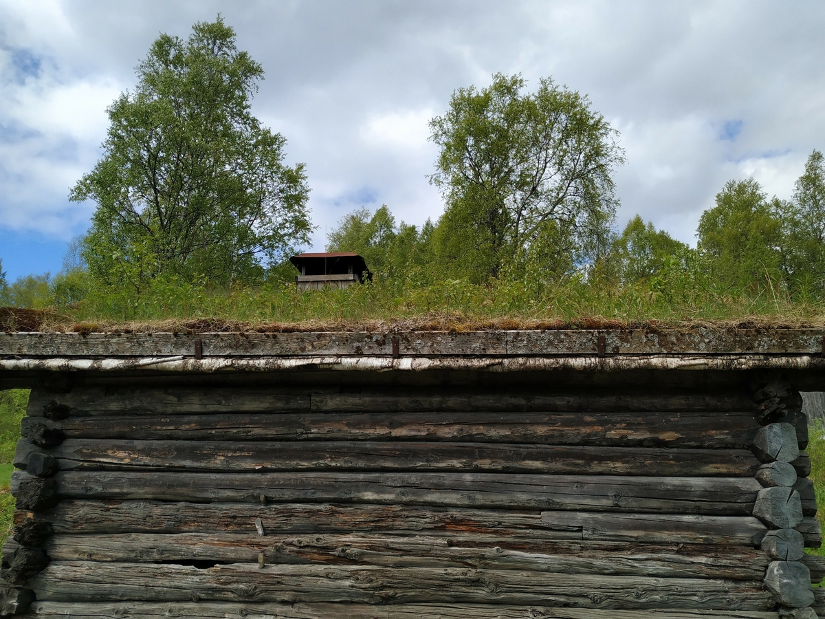Laft rundtømmer uten meddrag. Steinmur og torvtak.