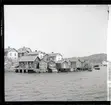 (Stereo karta XIV) Hällevikstrand från båt. 17 Juni 1926.