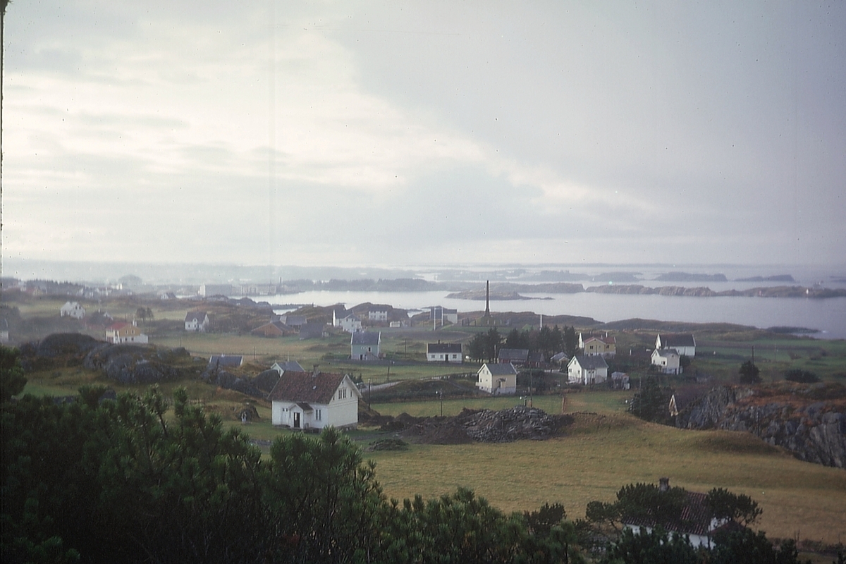 Utsikt fra Steinsneshaugen. Gard sett mot sørvest, ca. 1970.