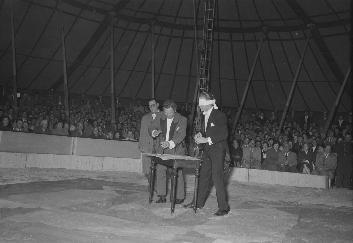 Midnattsshow hos Circus Arnardo
