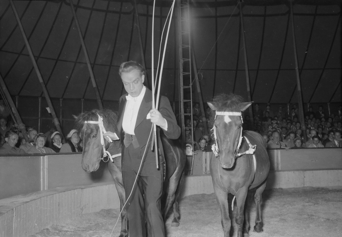 Midnattsshow hos Circus Arnardo