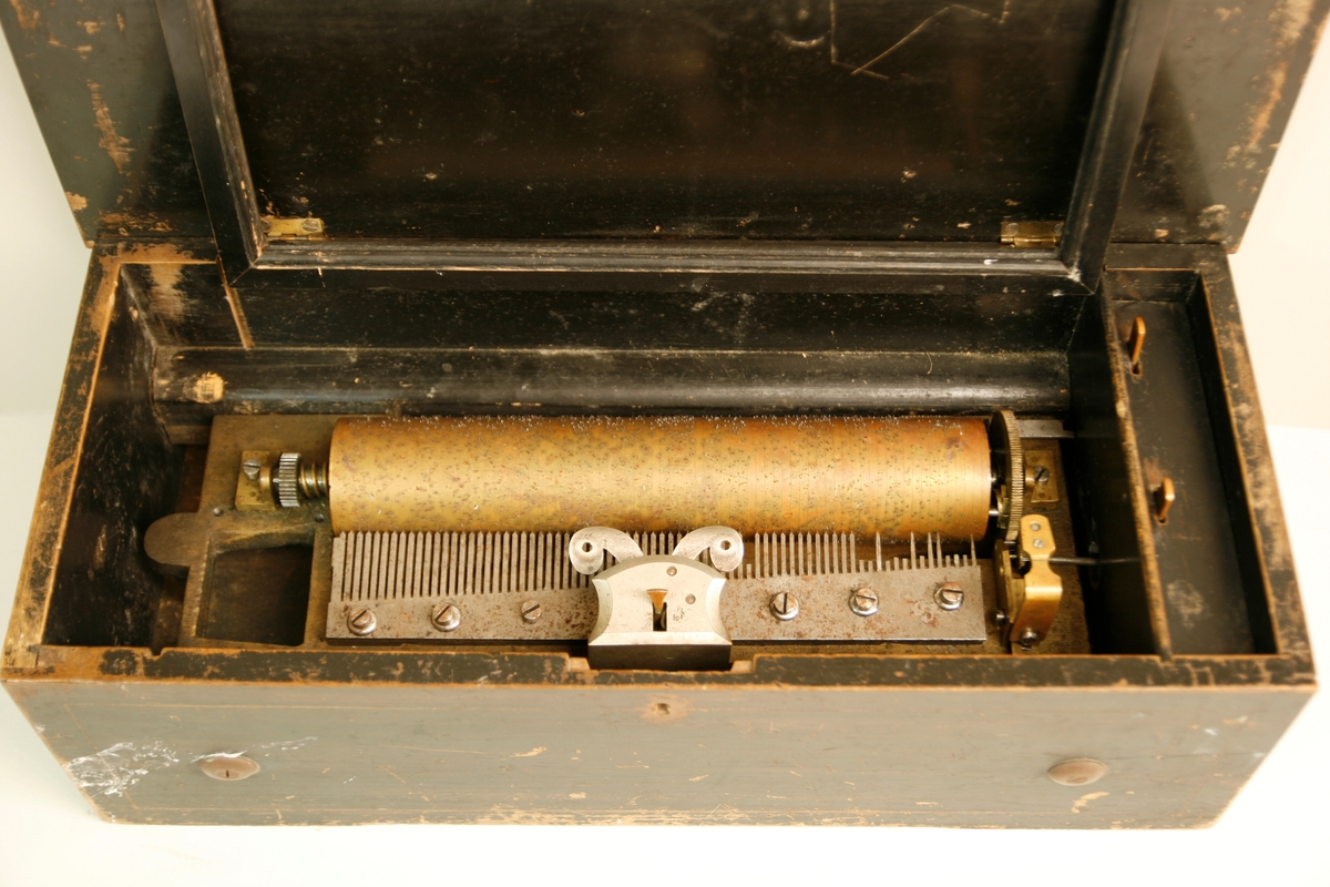 74 toner. 8 melodier. 
Kasse i tre. Intarsia på lokk: blomsterdekor samt tre parallelle linjer (smal, bred, smal) som danner en ramme. 
Messingssylinder og stålkam. Opptrekksmekanikk t.v. (mangler). Kammen er festet med 8 skruer til bunnplaten. Stjernehjul på sylinderens ende med 8 spisser (for 8 melodier). Vindbrems til høyre (vinger på brems mangler). To reglasjer t.h. for sylinder og mekanikk; den fremre for start/stop, den bakre for å skifte melodien eller repetere den.
Modellen har et demperregister/sordin, ofte kalt «Zither»: en list presses mot tennene for å dempe dem noe og skape en strenge-liknende klang (mangler på dette eksemplar). Ble også kalt «Harpe».