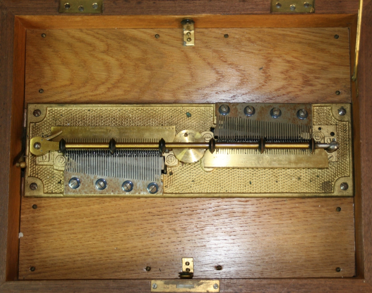 84 toner. For 30 cm-metallplater.

Spilledåse med dobbel stålkam. Brukes sammen med (utskiftbare) metallplater med pigger på underside, programmert med musikk.

Korpus.
Rektangulær trekasse rikk på utskjæringer (se bilde). Litografi/trykk på innside av lokk dekket av en glassplate.

Toner.
84 toner fordelt på 2 sett stålkammer med 42 toner på hver kam (samt en blind tone i midten) Kammer montert sammen med rekker med stjernehjul på bunnplate av messing. Låsarm med 6 sorte trehjul som løper over hele platen og som holder den roterende metallplaten på plass. 2 trehjul innfelt/nedsenkt i sarger for stabilisering av spilleplaten. 
Tonerekkefølge og posisjon.
Venstre kam: Basstoner medial - diskanttoner distal; høyre kam: (samme register som det til  v.) Basstoner medial – diskanttoner distal. 
Avstand mellom 10 spor: 26,4
Avstand sentrumsaksling – første spor:  v: 30,0 / h: 31,5 mm
Total bredde spor:  110,5

Drivsystem. 
Sentral pigg (Ø = 7,9 mm) samt en støttepigg (diam 4,0) ca 14 fra origo.
Reguleringer: Start/Stopp: spak v. side; opptrekkingsmekanisme: sveiv på høyre side.
Mulig hastighetsregulering v spak venstre side av mekanikk.
Identifisert som modell 25 C ((Bowers 1972:220; Ord-Hume 1995:231)