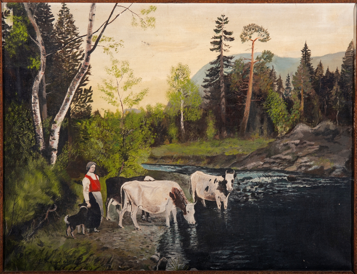 Kvinne med hund og tre kyr ved elvebredd. Skog og fjell i bakgrunnen.