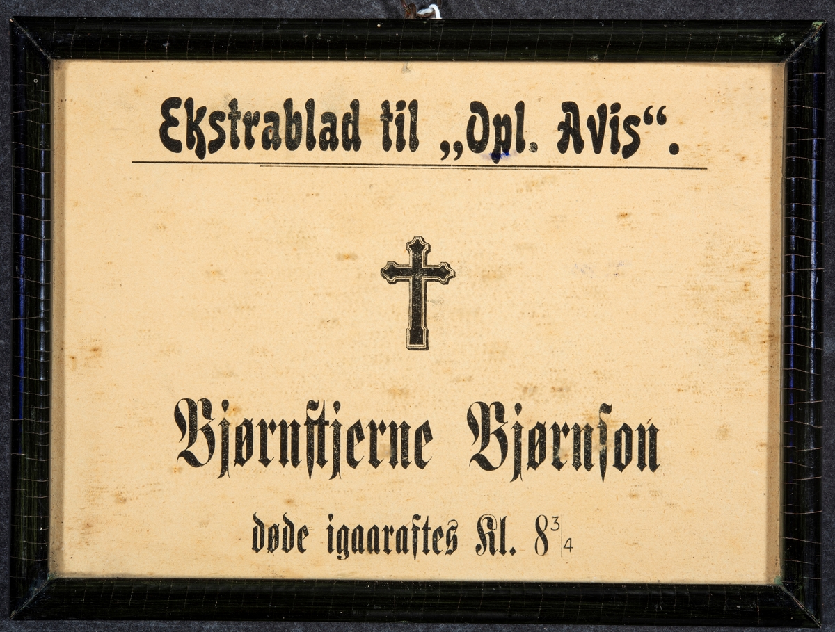 Avisartikkel