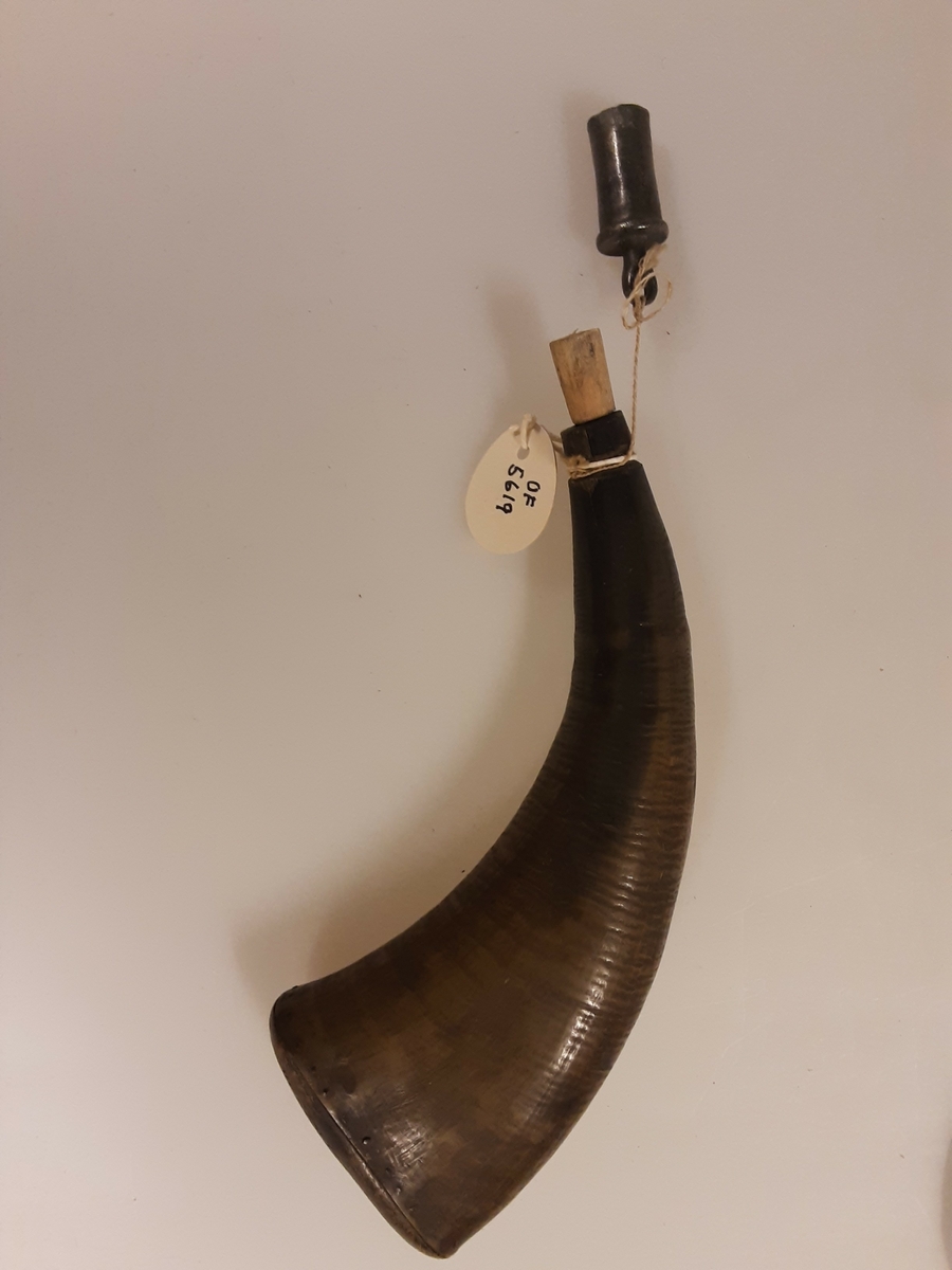 Krutthorn