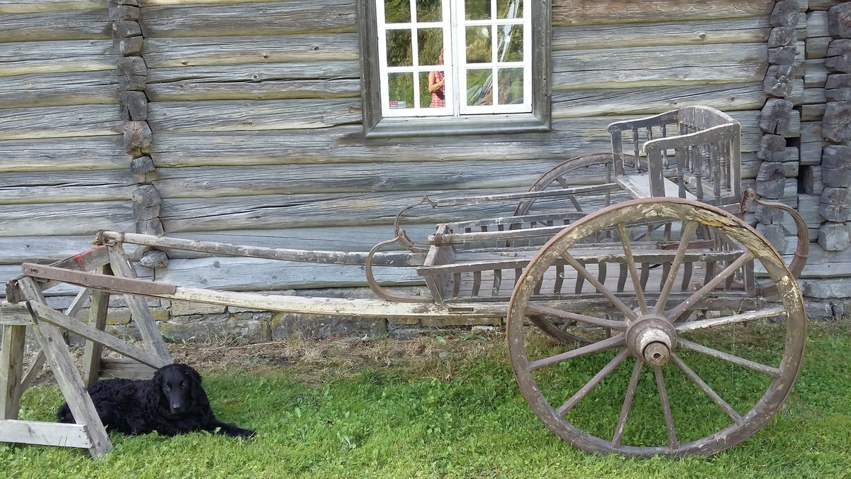 Vogn med to hjul, stol i c-fjærer foran og bak (sviktende trefjærer), ett tverrstilt sete (dreide spiler). Slett kassebunn med flate svakt s-formete spiler. 
Greaseaksel.
Jernbeslåtte hjul.
Antall trefell: 6
Antall eiker: 12
Det er rissa to tynne stafferingsstreker på hjulene og med vulst på innsida.
