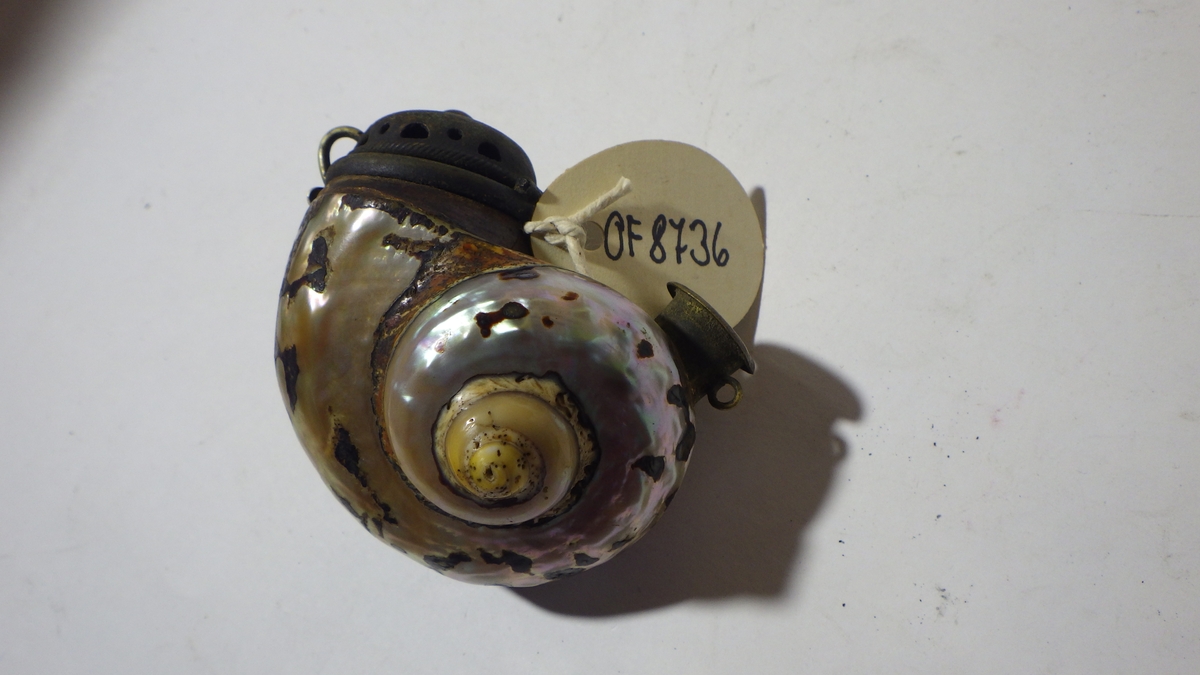 Pipe