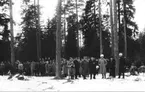 Fälttjenstövning 1913. Forsnäs, Östergötland.