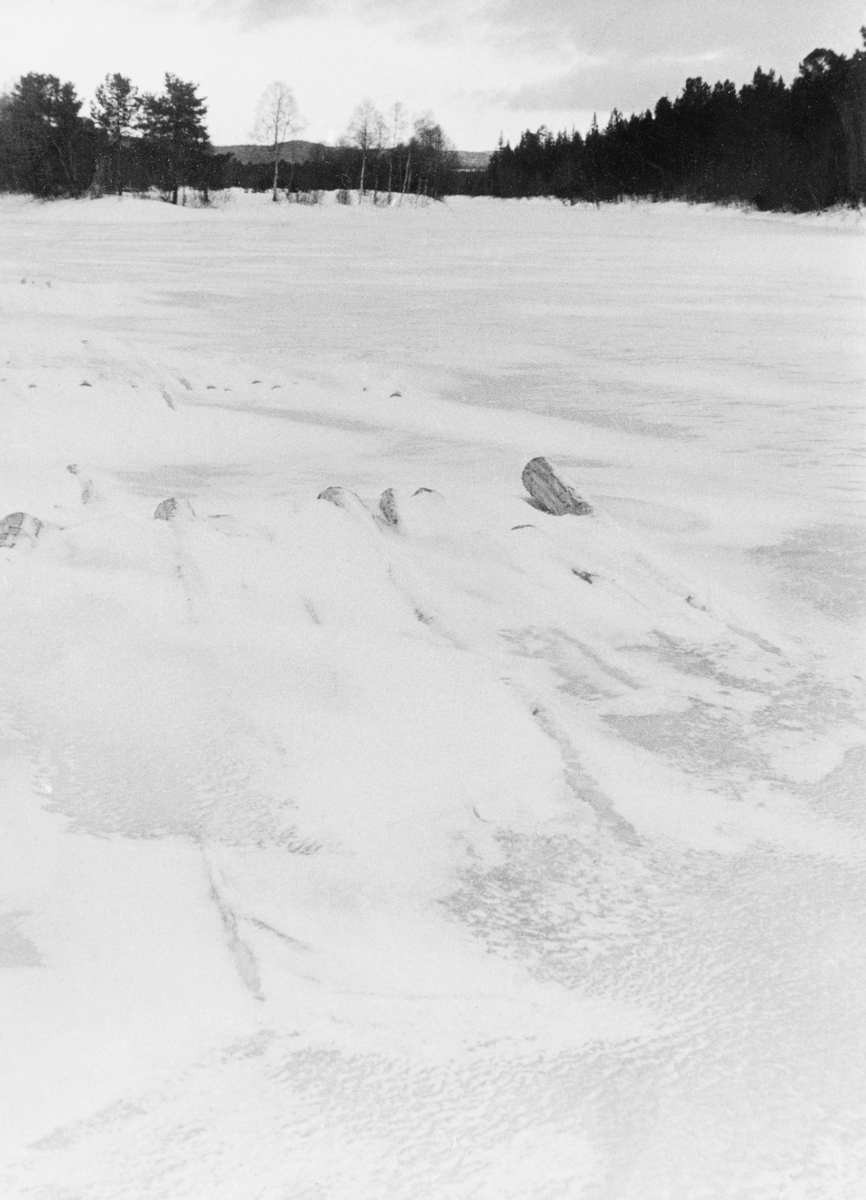 Nedsnødd og innfrosset tømmer på erlveisen i Glomma ved Øyan på Tynset i 1952.  Fotografiet er antakelig tatt for å dokumentere hvordan virke som kjøres fram og legges på isen fryser inn og blir mettet av fuktighet i vintersesongen, noe som økte faren for at stokkene skulle synke under fløtinga kommende vår og sommer.  I dette tilfellet skal virket ha tilhørt Bull Aakrann. 