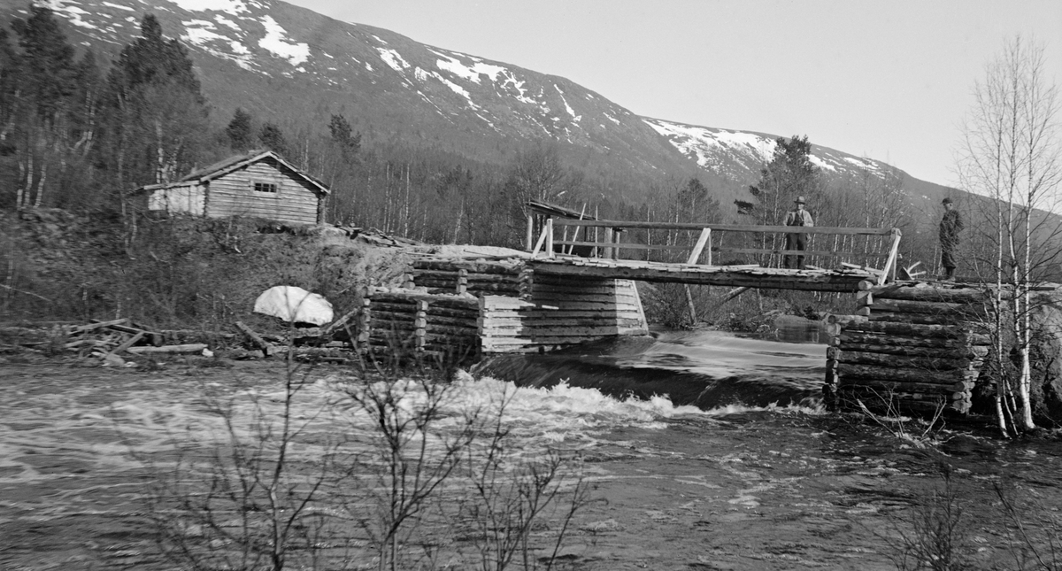 Teldammen, en attholdsdam i elva Tela, i tilløpselv på Glommas østside, i grensetraktene mellom Tynset og Tolga kommuner. Fotografiet er tatt i motstrøms retning, med forholdsvis mye vann gjennom damåpningen, som ikke er stengt. Damkonstruksjonen består av steinfylte tømmerkister på begge sider av elveløpet. Disse tømmerkistene er noe forlenget på nedsida av brua over løpet. Mellom tømmerkistene er det lagt «golving» av tømmer, som ender i en liten terskel (fall), noe som framgår tydelig av overflata på vannet. Dambrua har rekkverk på yttersida.  Her ligger «nålene» som brukes til å stenge dammen i forbindelse med fløtinga. Lilke til venstre for rekkverket på dambrua ses et lite stolpebåret pulttak.  Dette taket gav muligens klimabeskyttelse for nålene på årstider da det ikke foregikk fløting i vassdraget. Gardbruker Per Bangen (1887-1975) står på dambrua, fløtingsinspeltør Tor G. Waal (1892-1952) på tømmerkista som danner avslutningen av damarmen på høyre side.  På landet til venstre for dammen ligger det ei laftet fløterkoie med tilbygg i bordkledd bindingsverk. I bakgrunnen bjørkeskog med enkelte grantrær. Bakenfor skogbeltet igjen en fjellrygg med snøflekker, antakelig Teldalsvola.