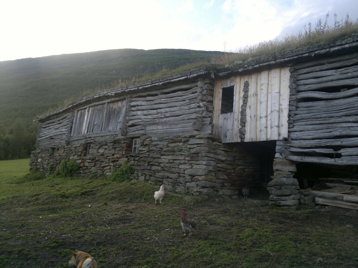 Fjøs. Husdyrrom av kistemur i lokal naturstein. Høyloft laftet i furu og bjørk. Åstak av bjørk, taktro, næver og torv. Fjøsgrue.