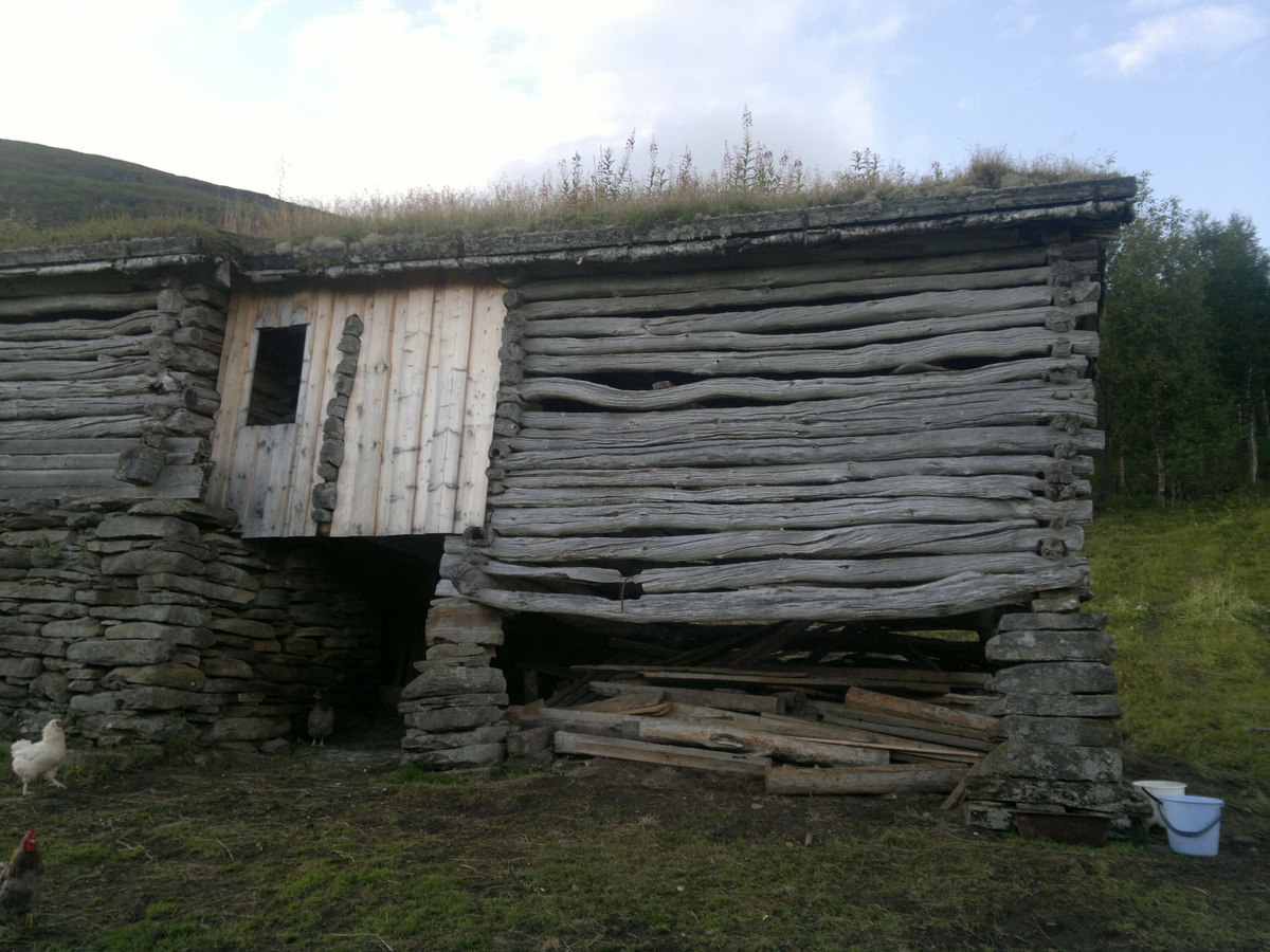 Fjøs. Husdyrrom av kistemur i lokal naturstein. Høyloft laftet i furu og bjørk. Åstak av bjørk, taktro, næver og torv. Fjøsgrue.