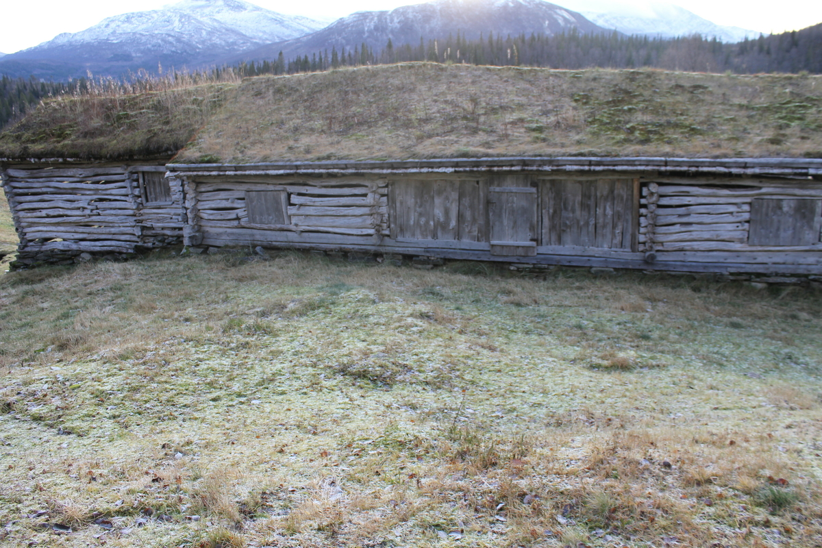 Fjøs. Husdyrrom av kistemur i lokal naturstein. Høyloft laftet i furu og bjørk. Åstak av bjørk, taktro, næver og torv. Fjøsgrue.