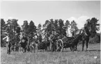 Kabelkärrgrupp juni 1940