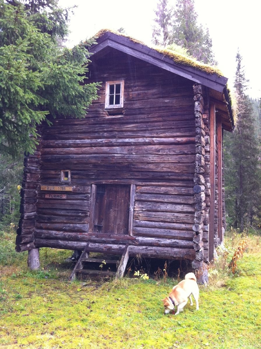 Bur fra gården Turmo, Grane bygd ca 1786. Laftet, har to etasjer. I første etasje er det to rom. Innerrommet har to arbeidsplater og en stor melkiste. Fremre rom har to veggfaste senger. Trapp til loft i innerste rom. Bygningen har i dag to vinduer. 
