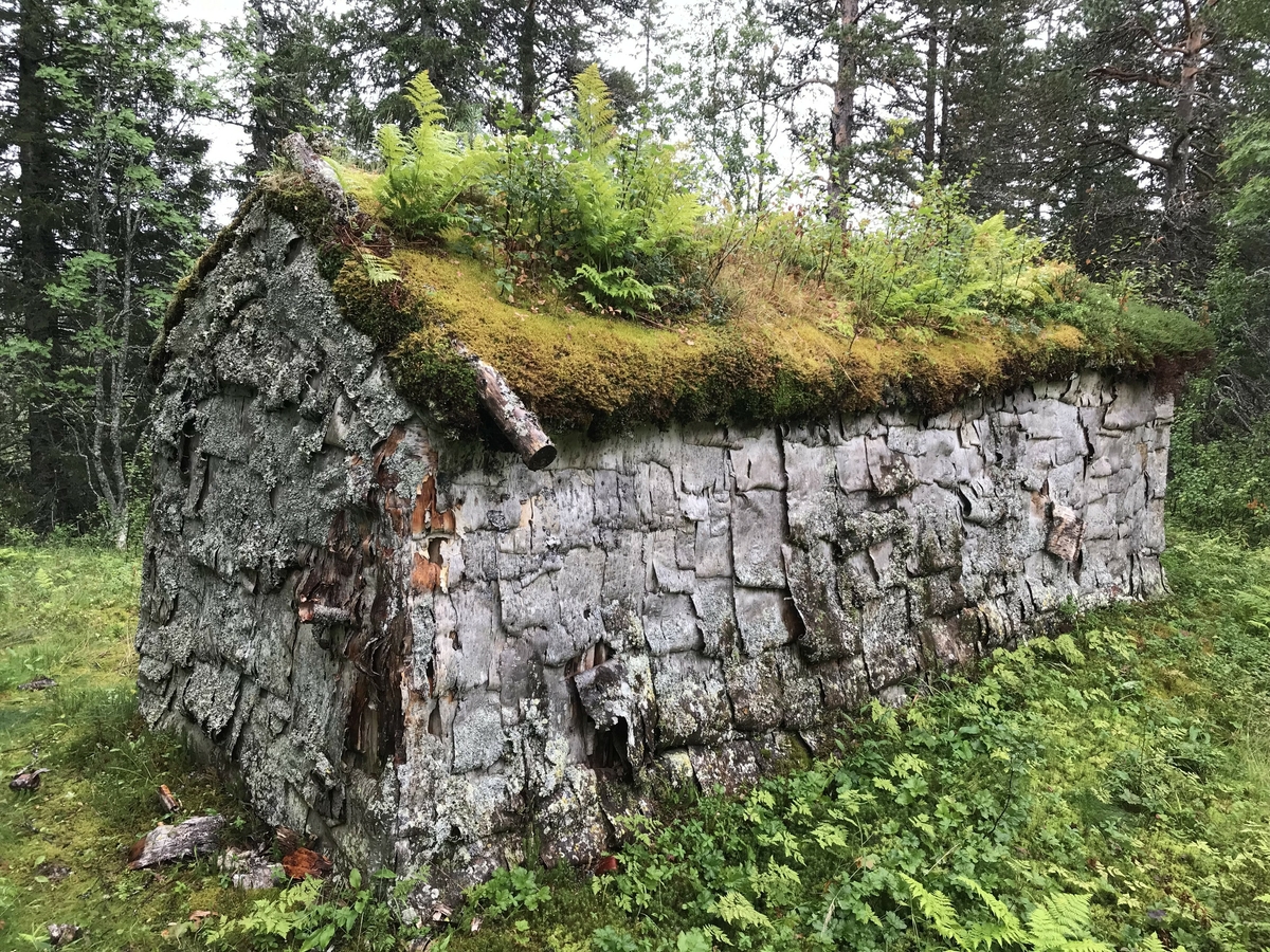 Husgammen (Gåetie) i Sørvassdalen er en av to stående bygninger på plassen som tilhørte familien til Gunnar Johnsen Njarka og Gippe Njarka. Husgammen skal være bygd opp før1926 og ble brukt som bolig av familien mens reinflokken beitet i nærområdene. Boplassen dokumenterer en sentral epoke i sør-samisk historie overgangen fra ¨gammel¨ til ¨ny¨ tid. Altså der en flyttet over fra gammen (Gåetie) til huset. Bygget er delt opp i tre rom der alle har et enkelt vindu i vinduskarm mot Sør og Vest. Det innerste rommet har fungert som oppholdsrom og soverom. Midtrommet må regnes som kjøkken, mens det er en gang ved inngangsdøra. I oppholdsrommet er det tregulv som er spikret på stokker som ligger direkte på bakken. I gang og kjøkken er det lagt steinhyller direkte på bakken. 

