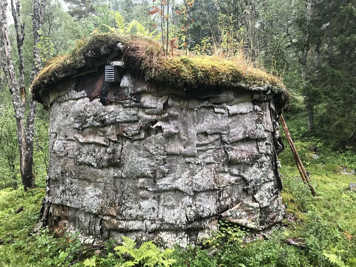 Husgammen (Gåetie) i Sørvassdalen er en av to stående bygninger på plassen som tilhørte familien til Gunnar Johnsen Njarka og Gippe Njarka. Husgammen skal være bygd opp før1926 og ble brukt som bolig av familien mens reinflokken beitet i nærområdene. Boplassen dokumenterer en sentral epoke i sør-samisk historie overgangen fra ¨gammel¨ til ¨ny¨ tid. Altså der en flyttet over fra gammen (Gåetie) til huset. Bygget er delt opp i tre rom der alle har et enkelt vindu i vinduskarm mot Sør og Vest. Det innerste rommet har fungert som oppholdsrom og soverom. Midtrommet må regnes som kjøkken, mens det er en gang ved inngangsdøra. I oppholdsrommet er det tregulv som er spikret på stokker som ligger direkte på bakken. I gang og kjøkken er det lagt steinhyller direkte på bakken. 

