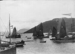 Harstadregattaen 1891