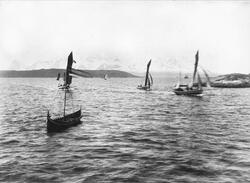 Harstadregattaen 1891
