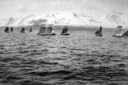 Harstadregattaen 1891
